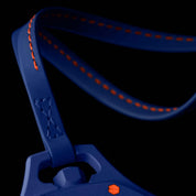 Swatch x Audemars Piguet Royal Pop - Orenji Hachi